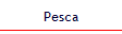 Pesca